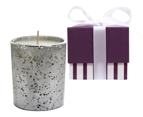 Christmas Spiced Cinnamon & Apple Luxury Silver Soya Wax Candle & Gift Box