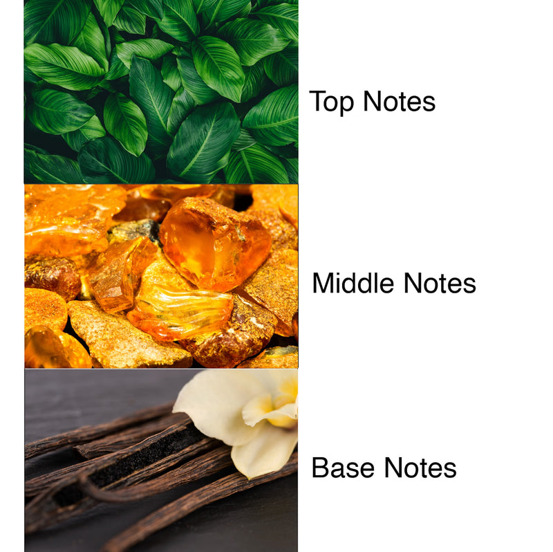 Amber Gold Luxury Signature Diffuser