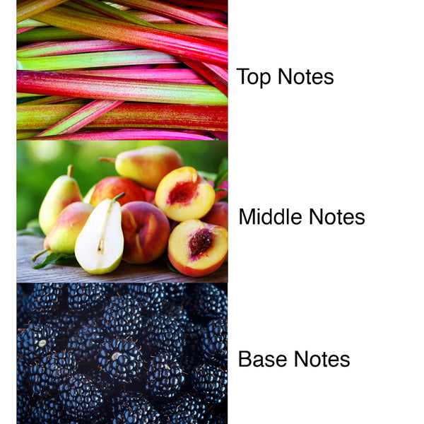 Black Plum & Rhubarb Luxury Signature Soya Wax Candle